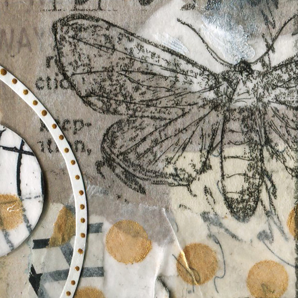 Fly - Image 2