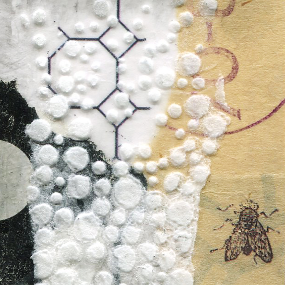 Emerge - Image 2