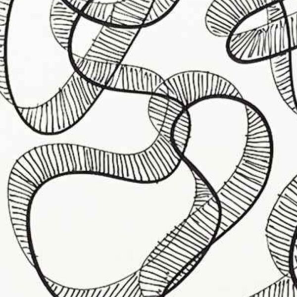 Tune in Tuesdays Doodle